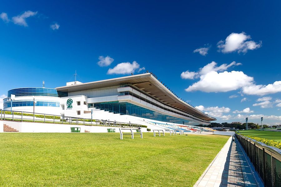 中山競馬場のスタンド