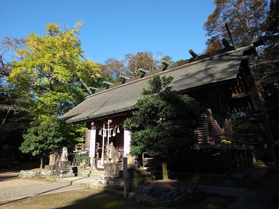 橘樹神社の拝殿