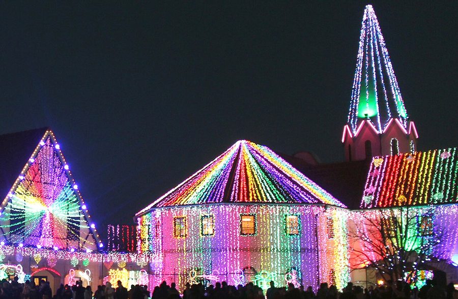 東京ドイツ村のイルミネーション（2015年撮影）