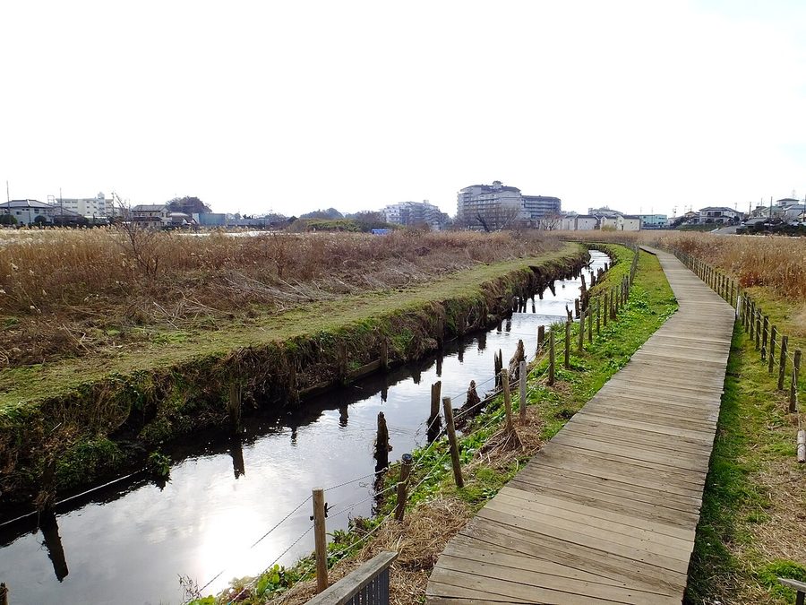 大津川上流部の遊歩道