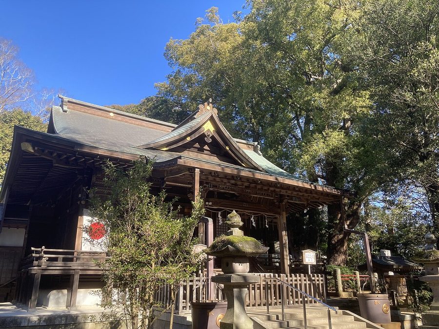 神崎神社の社殿（手前）と、右奥にそびえる御神木の神崎の大楠