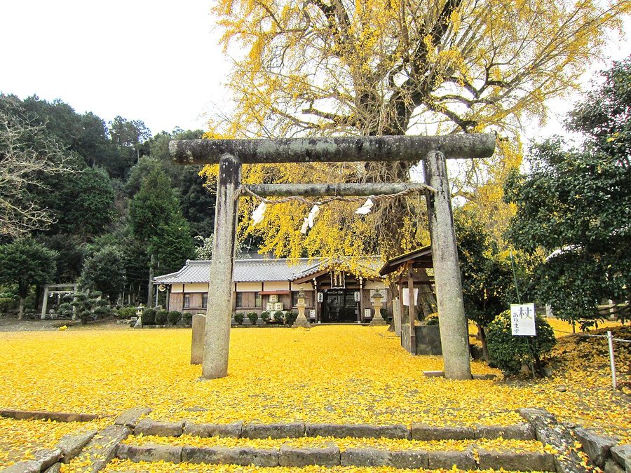 丹生酒殿神社です