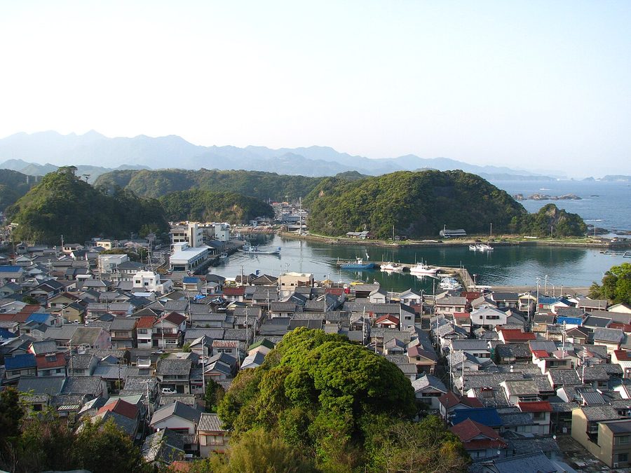 高台から見た太地町の中心部