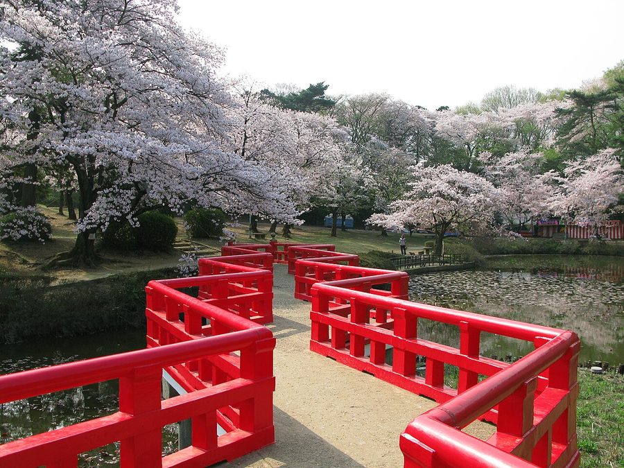 岩槻城址公園の八ッ橋