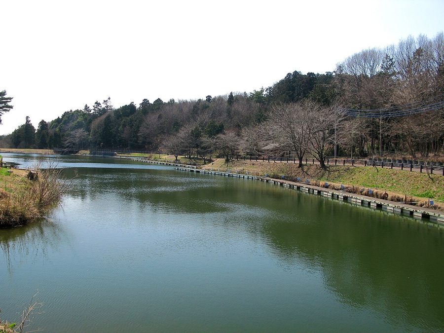 箕和田湖