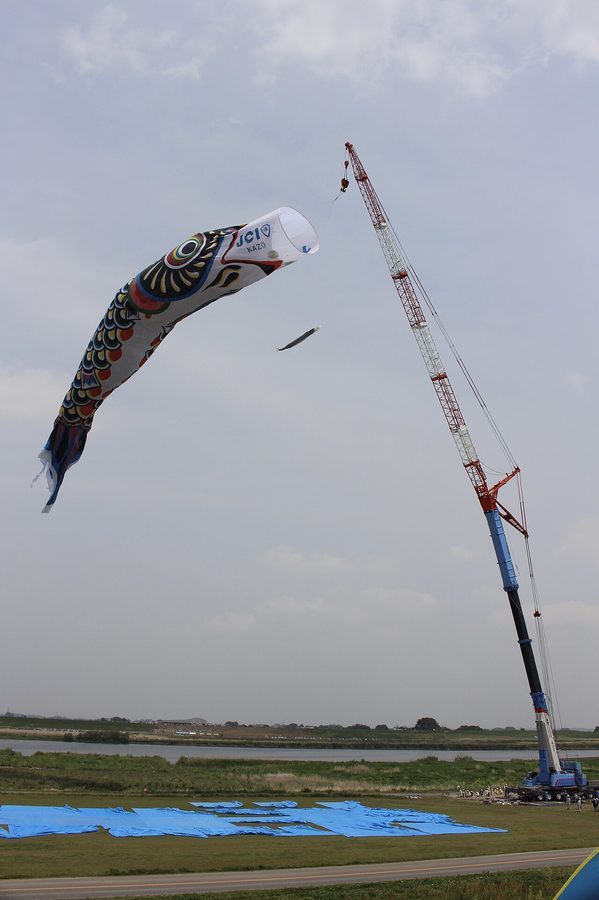 クレーンで掲揚されるジャンボこいのぼり