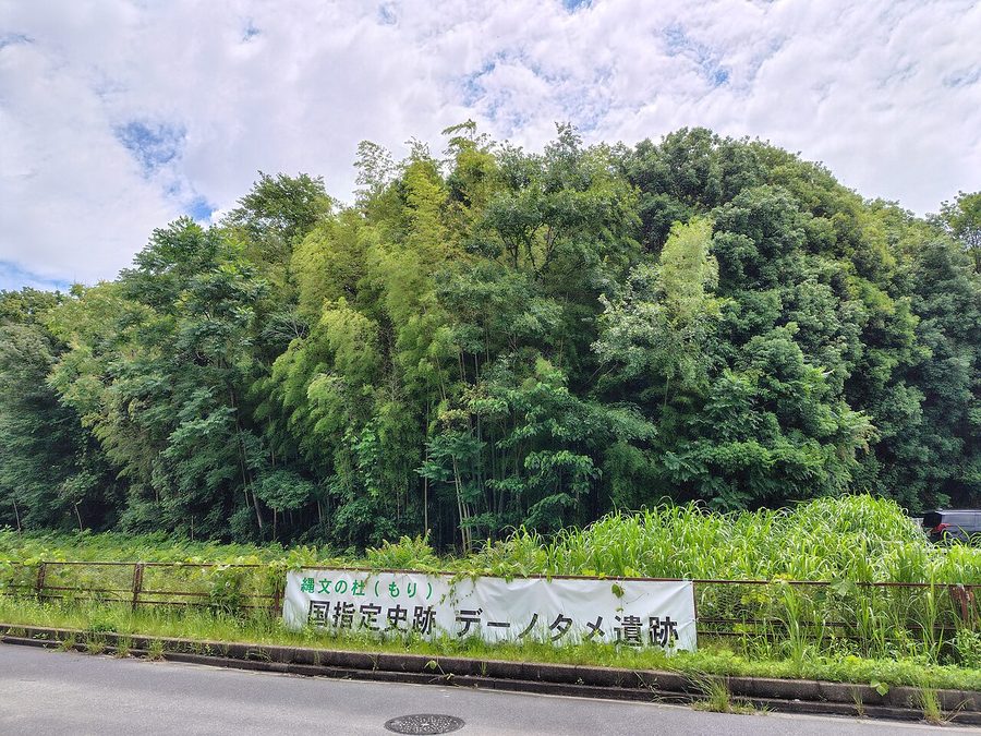 デーノタメ遺跡