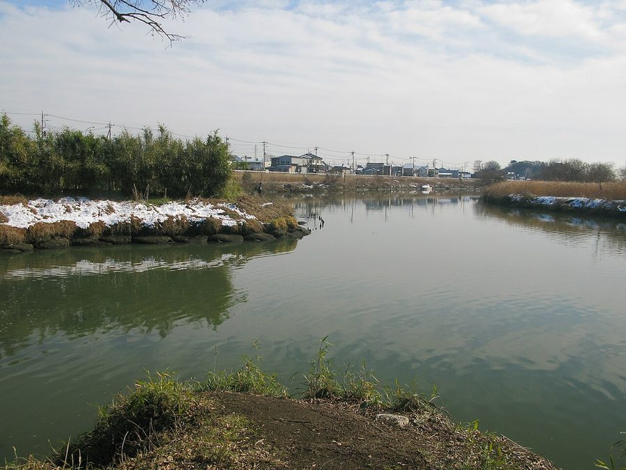 八間堀悪水路と大落古利根川の合流点