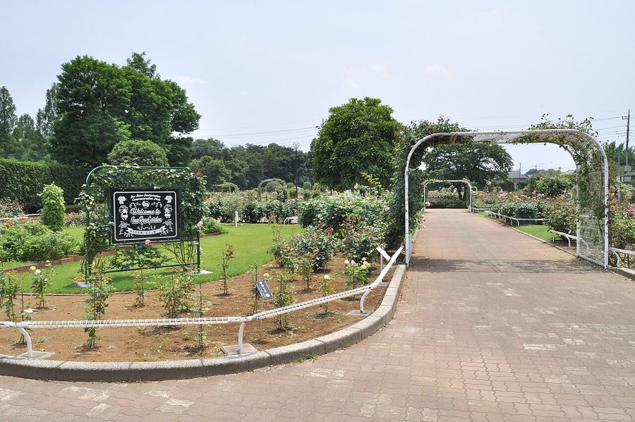 伊奈町町制施行記念公園のバラ園入口
