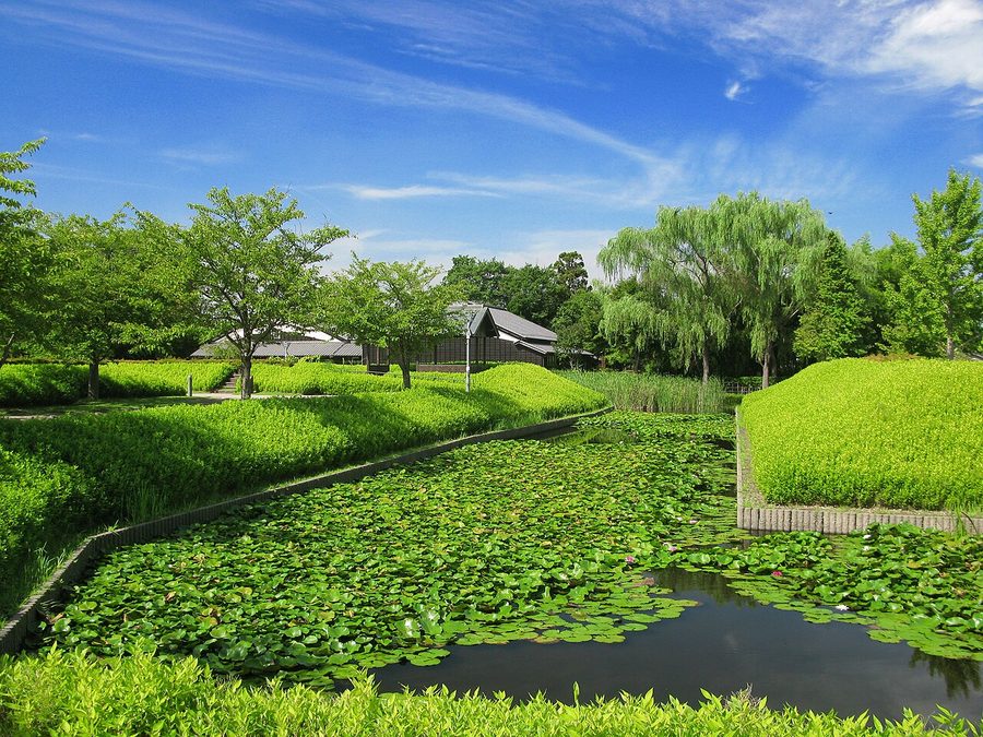 難波田城公園の水堀