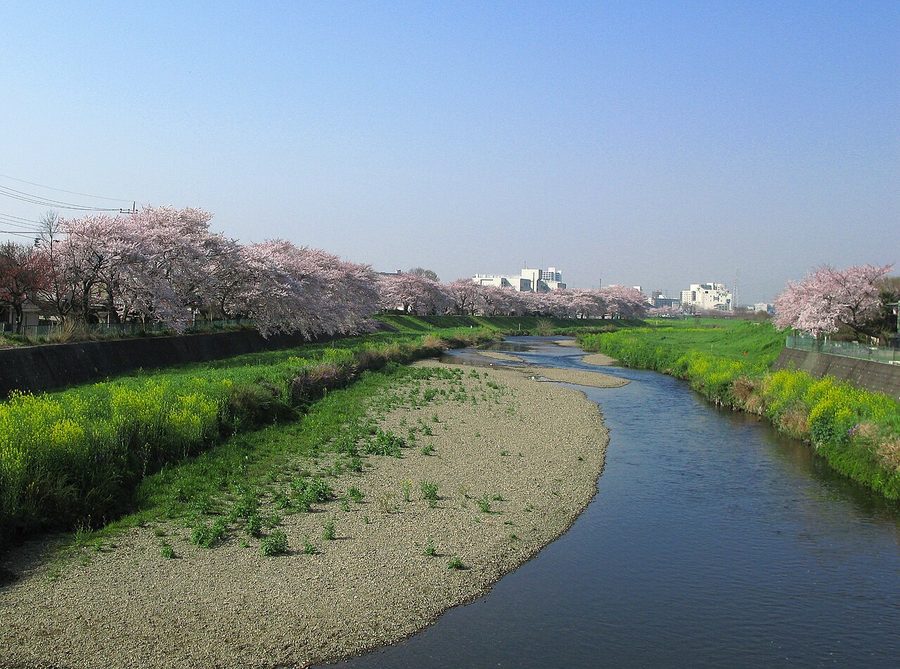 柳瀬川