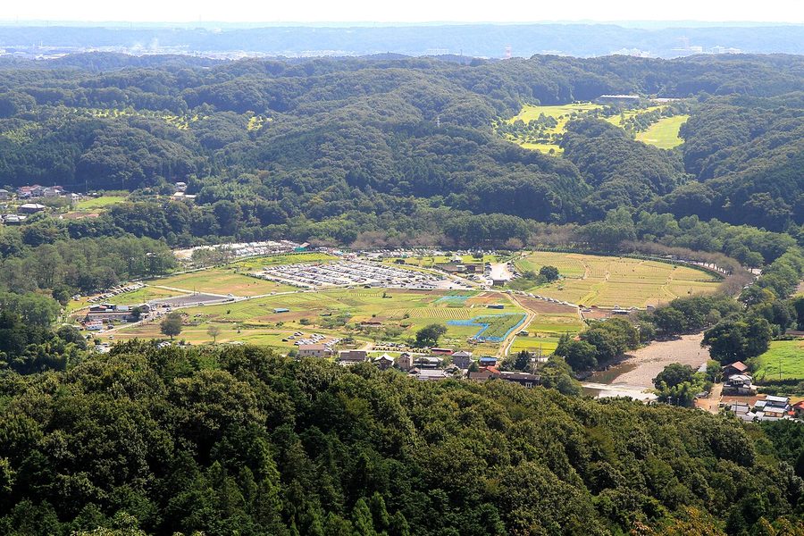 日和田山から望む巾着田