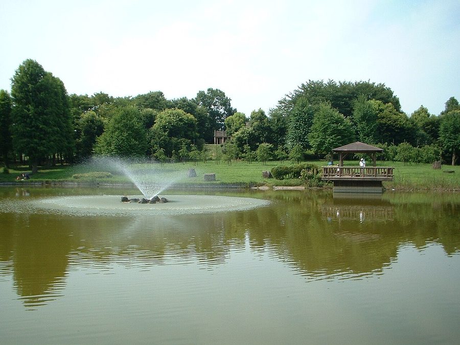 城山公園にある池の一つ、大池
