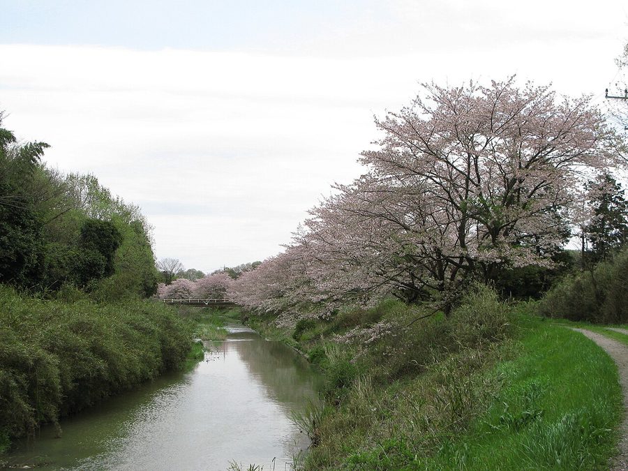 町名の由来となった滑川