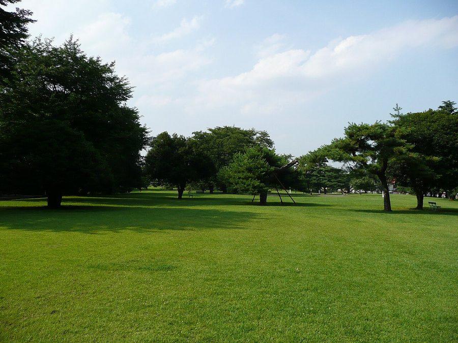 狭山稲荷山公園の芝生広場