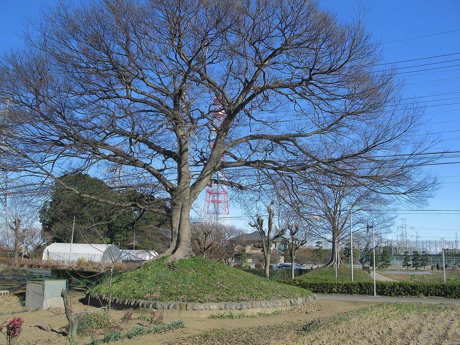 下野田一里塚