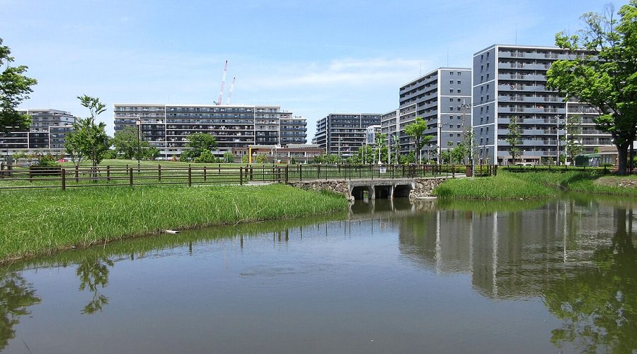 松原団地記念公園の水辺