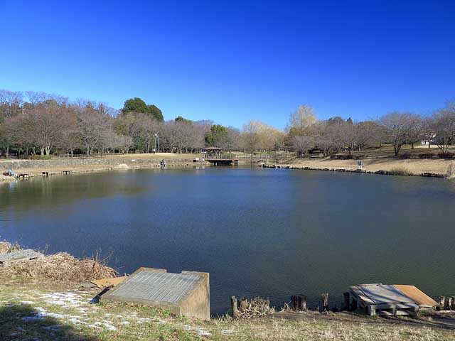 西城沼公園の西城沼