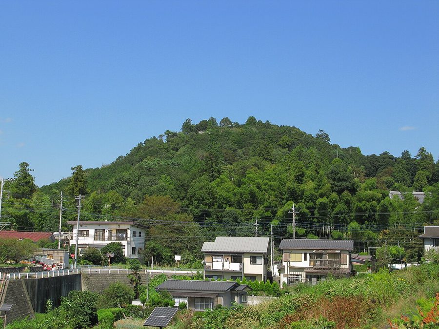 天覧山