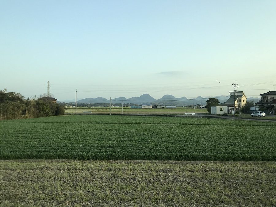 宇佐市内の水田地帯