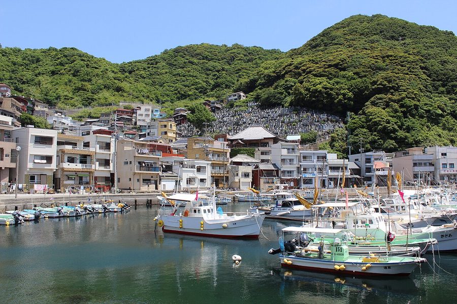 保戸島の港と密集した集落