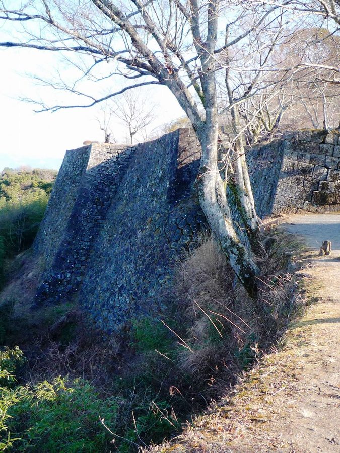 岡城跡の高石垣（三の丸、冬）