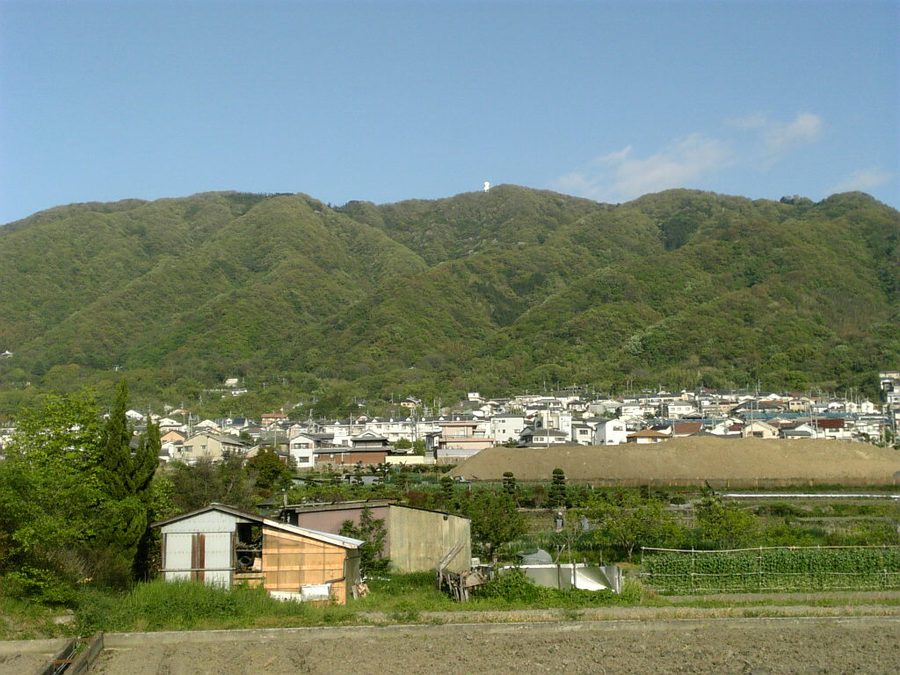高安山の遠景