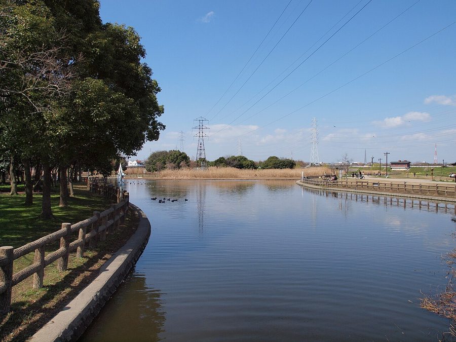 深北緑地公園の池
