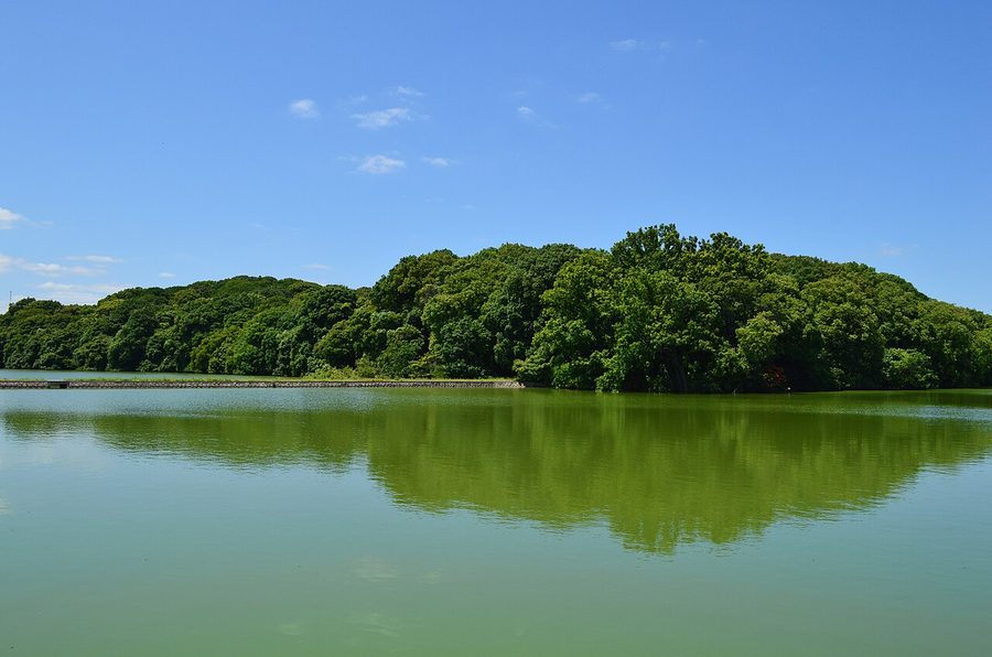 河内大塚山古墳の墳丘全景