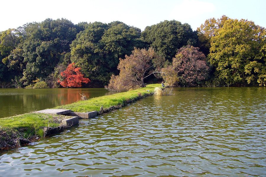 河内大塚山古墳の周濠