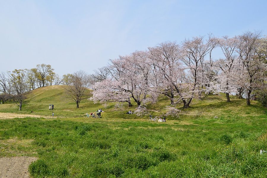 古室山古墳の墳丘