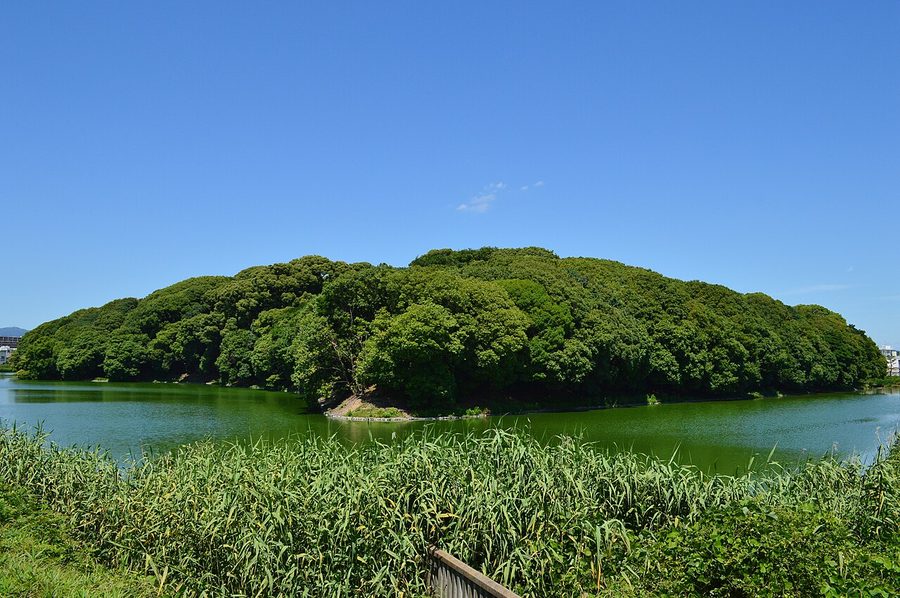 岡ミサンザイ古墳の墳丘全景