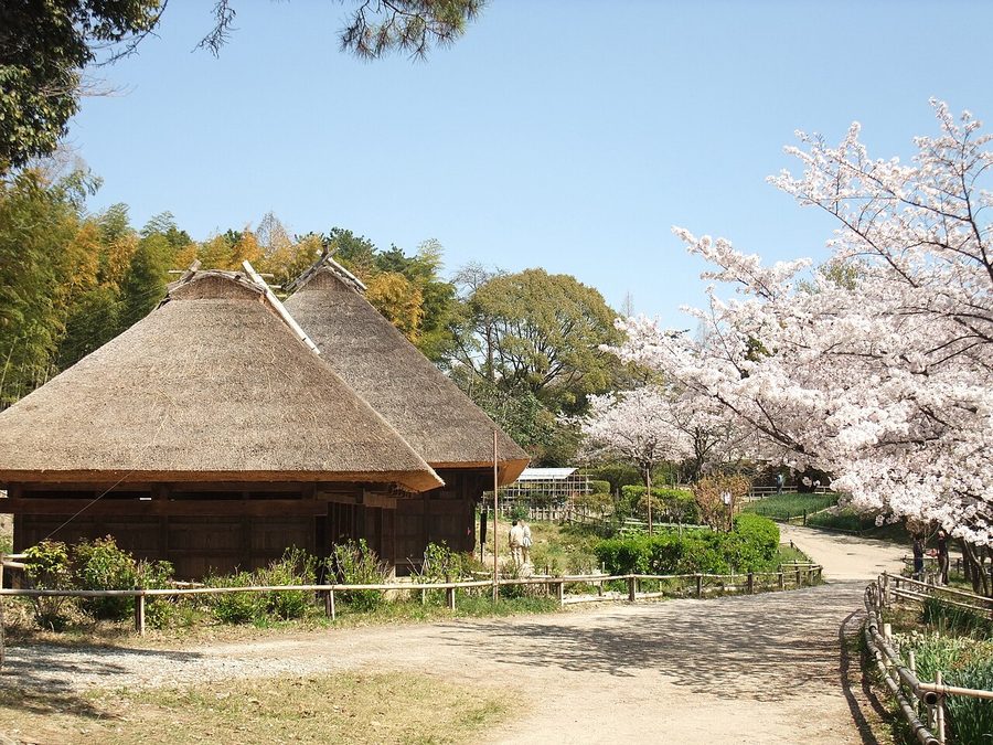 日本民家集落博物館の茅葺き民家（日向椎葉の民家、宮崎県・重要文化財）