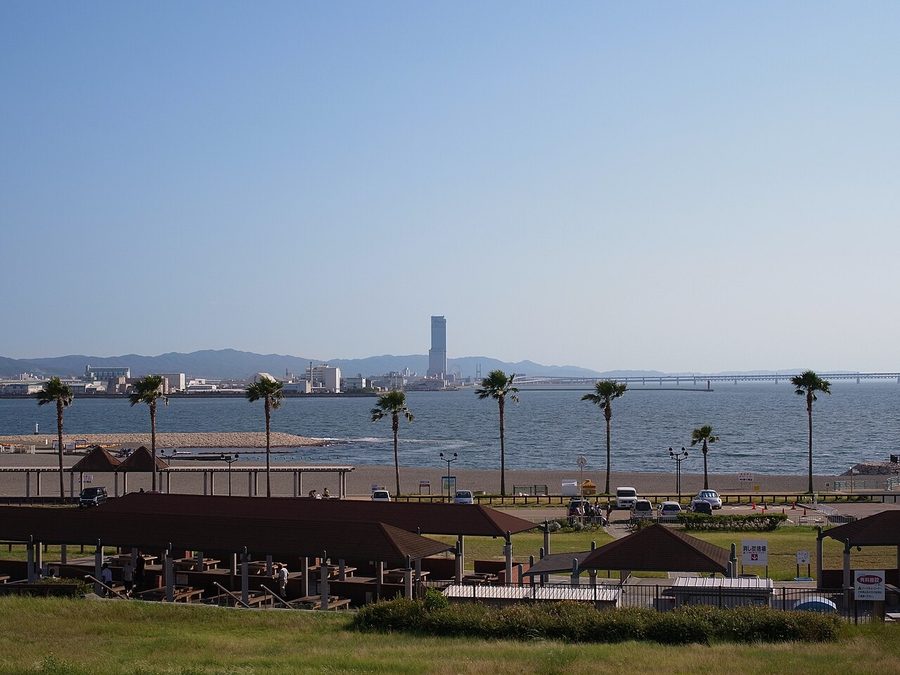 二色の浜公園の見晴らしの丘から望む海岸