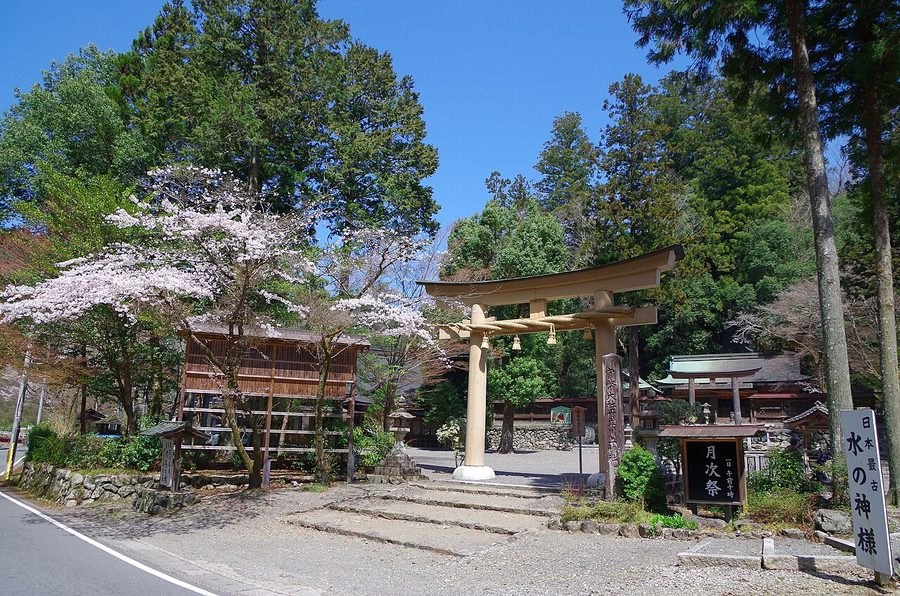 丹生川上神社下社の鳥居と桜