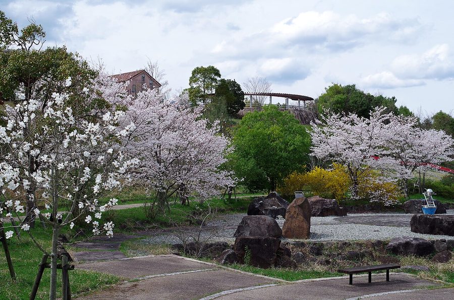 福神中央公園の桜並木