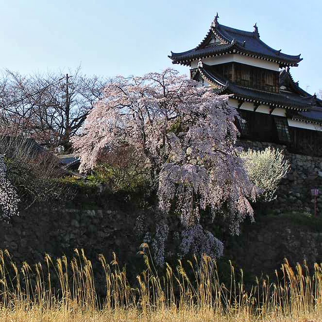 郡山城跡