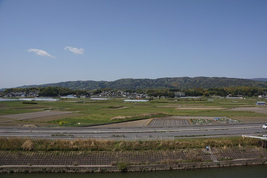 矢田丘陵と、その手前に広がる田園風景