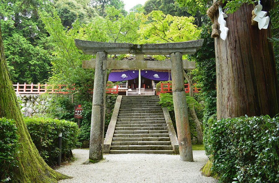高鴨神社の鳥居と参道の石段