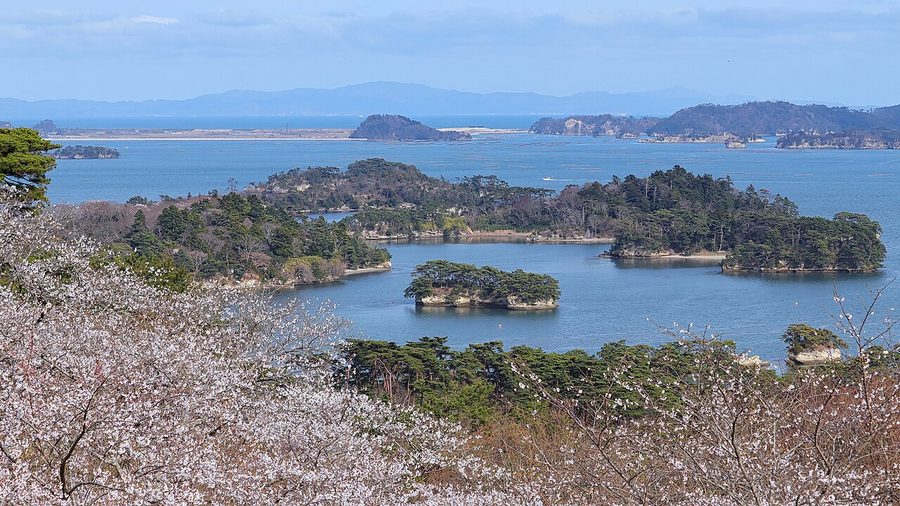 松島湾