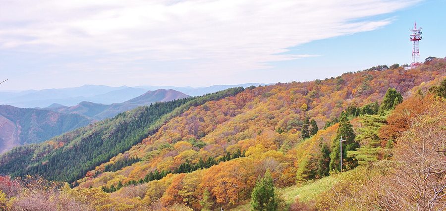 紅葉の田束山