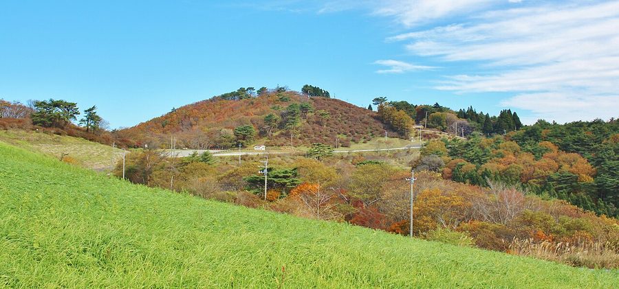 田束山の稜線