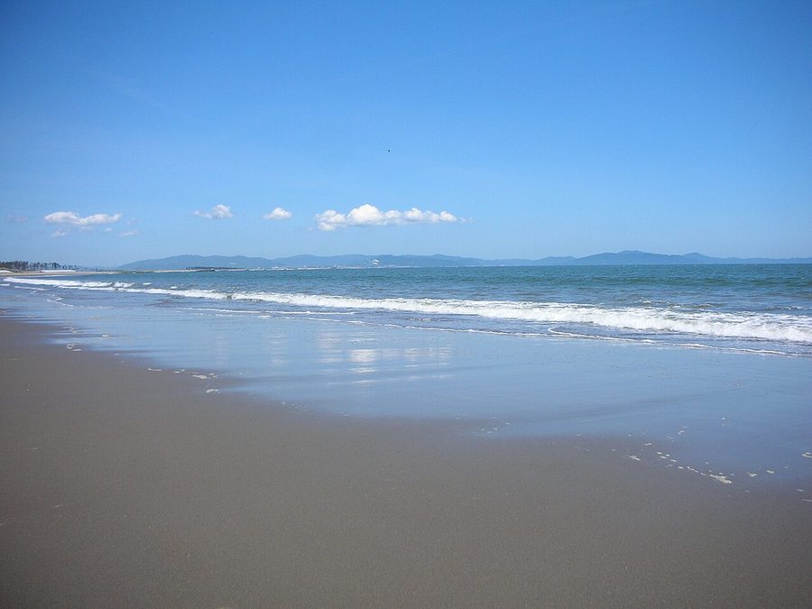 野蒜海岸の砂浜