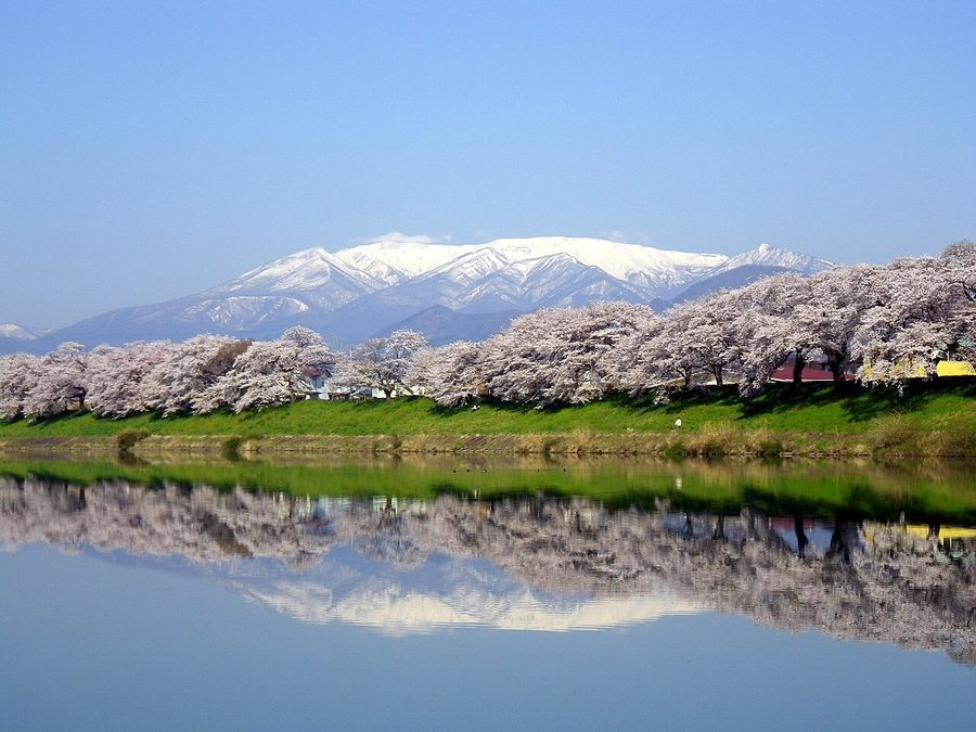 白石川に映る逆さ蔵王山と一目千本桜