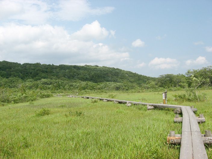 世界谷地原生花園の木道