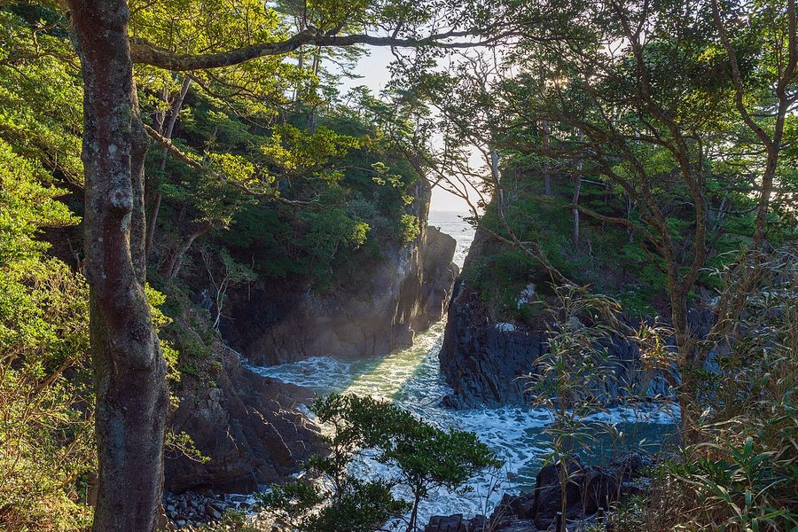 神割崎の海岸