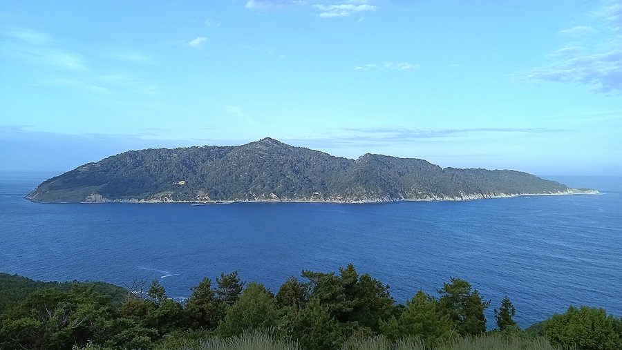 金華山