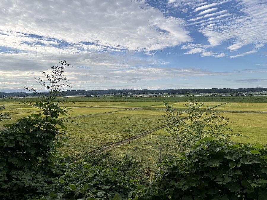 不来内の田園風景