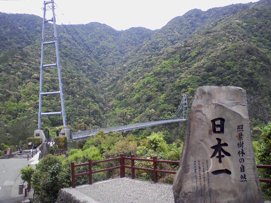 照葉大吊橋のたもとに立つ「日本一 照葉樹林の自然」の碑と、谷にかかる吊橋