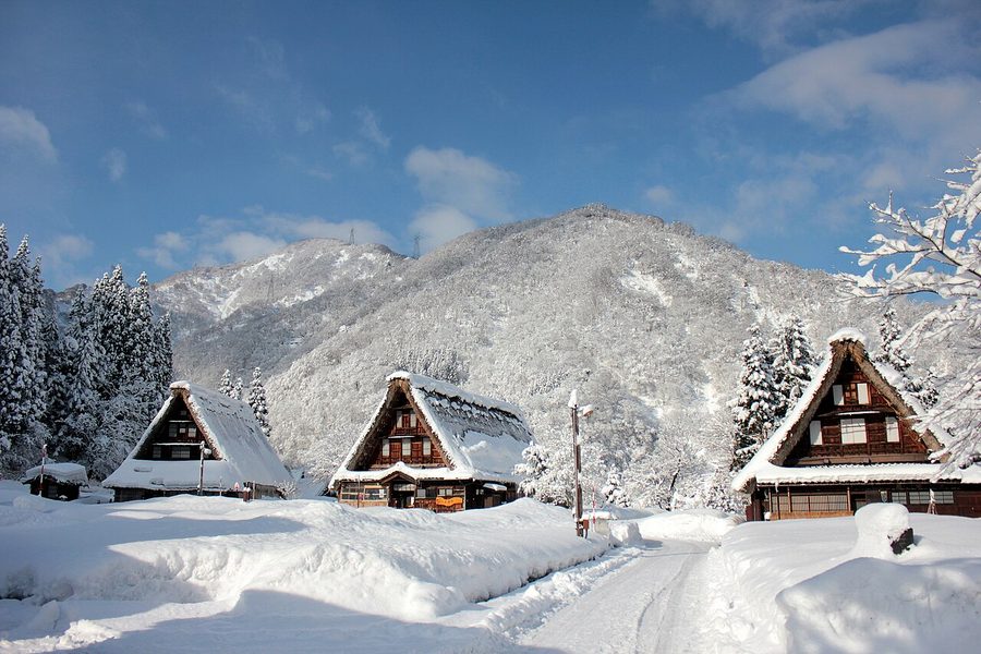 五箇山・菅沼集落の合掌造り家屋と雪山